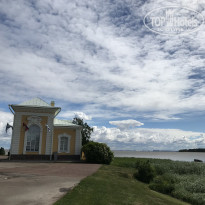 фото из отзыва ID 1755420