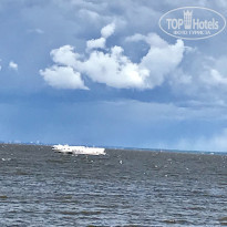 фото из отзыва ID 1755420