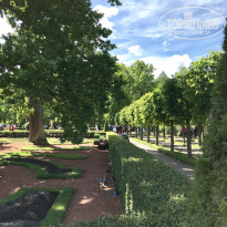 фото из отзыва ID 1755420