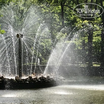 фото из отзыва ID 1755420