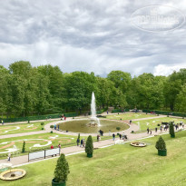 фото из отзыва ID 1755420