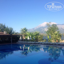 фото из отзыва ID 1756361