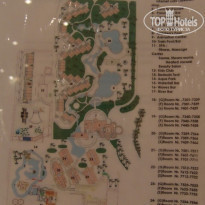 фото из отзыва ID 176847