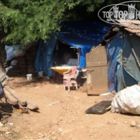 фото из отзыва ID 176991