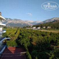 фото из отзыва ID 1760012