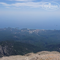 фото из отзыва ID 1760106