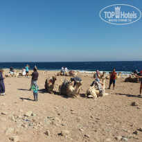 фото из отзыва ID 1760123