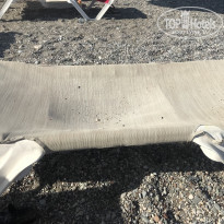 фото из отзыва ID 1760369