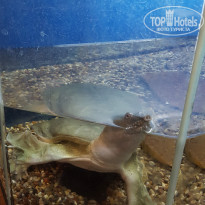 фото из отзыва ID 1760428