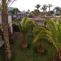 фото из отзыва ID 1760452