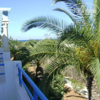 фото из отзыва ID 1760853