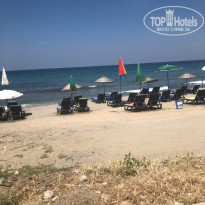 фото из отзыва ID 1761141