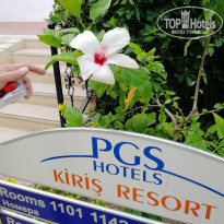 фото из отзыва ID 1761304