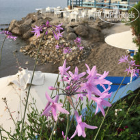 фото из отзыва ID 1761505