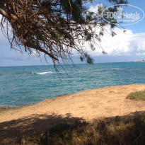 фото из отзыва ID 1761594