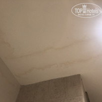 фото из отзыва ID 1761683