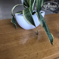 фото из отзыва ID 1761683