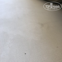 фото из отзыва ID 1761683