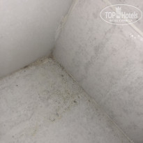 фото из отзыва ID 1761683