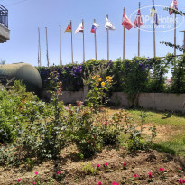 фото из отзыва ID 1761746