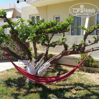 фото из отзыва ID 1761829