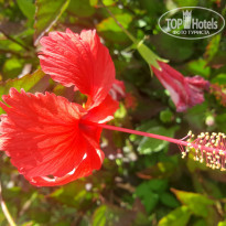 фото из отзыва ID 1761934