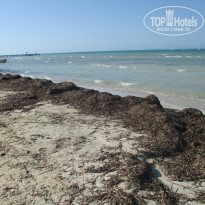 фото из отзыва ID 1762050