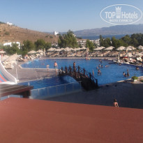 фото из отзыва ID 1761154