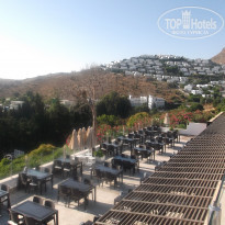 фото из отзыва ID 1761154