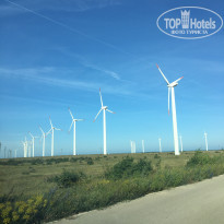 фото из отзыва ID 1762413