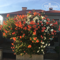 фото из отзыва ID 1762413