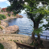 фото из отзыва ID 1762413