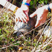 фото из отзыва ID 1762430