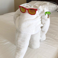 фото из отзыва ID 1762440