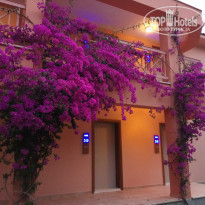 фото из отзыва ID 1762594