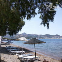 фото из отзыва ID 1762681