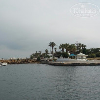 фото из отзыва ID 1761497