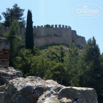 фото из отзыва ID 1762755