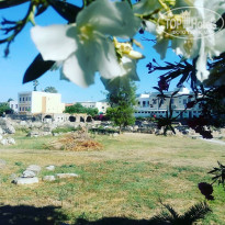 фото из отзыва ID 1762828