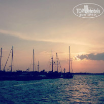 фото из отзыва ID 1762828