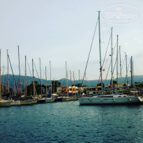 фото из отзыва ID 1762828