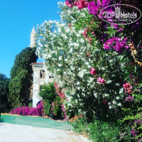 фото из отзыва ID 1762828