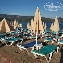 фото из отзыва ID 1761181