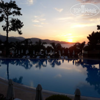 фото из отзыва ID 1763029