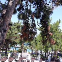 фото из отзыва ID 1763029