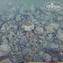 фото из отзыва ID 1763077