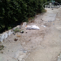 фото из отзыва ID 1763077