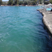 фото из отзыва ID 1763077