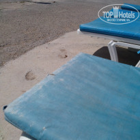 фото из отзыва ID 1763077