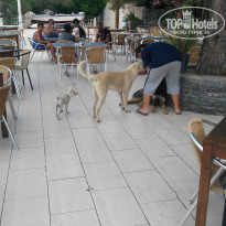 фото из отзыва ID 1763077